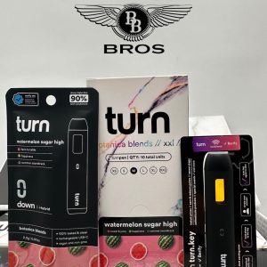 Turn 2G Disposable Official
